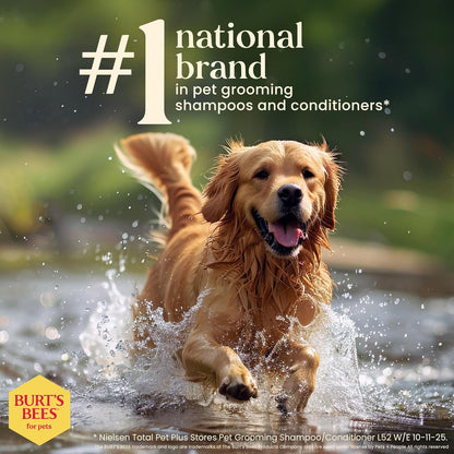Burt'S Bees for Pets Waterless Shampoo Spray for Dogs, Apple & Honey, No-Rinse Dry Dog Shampoo for All Dogs and Puppies, Ph Balanced, No Sulfates, Parabens, Phthalates, 10 Fl Oz