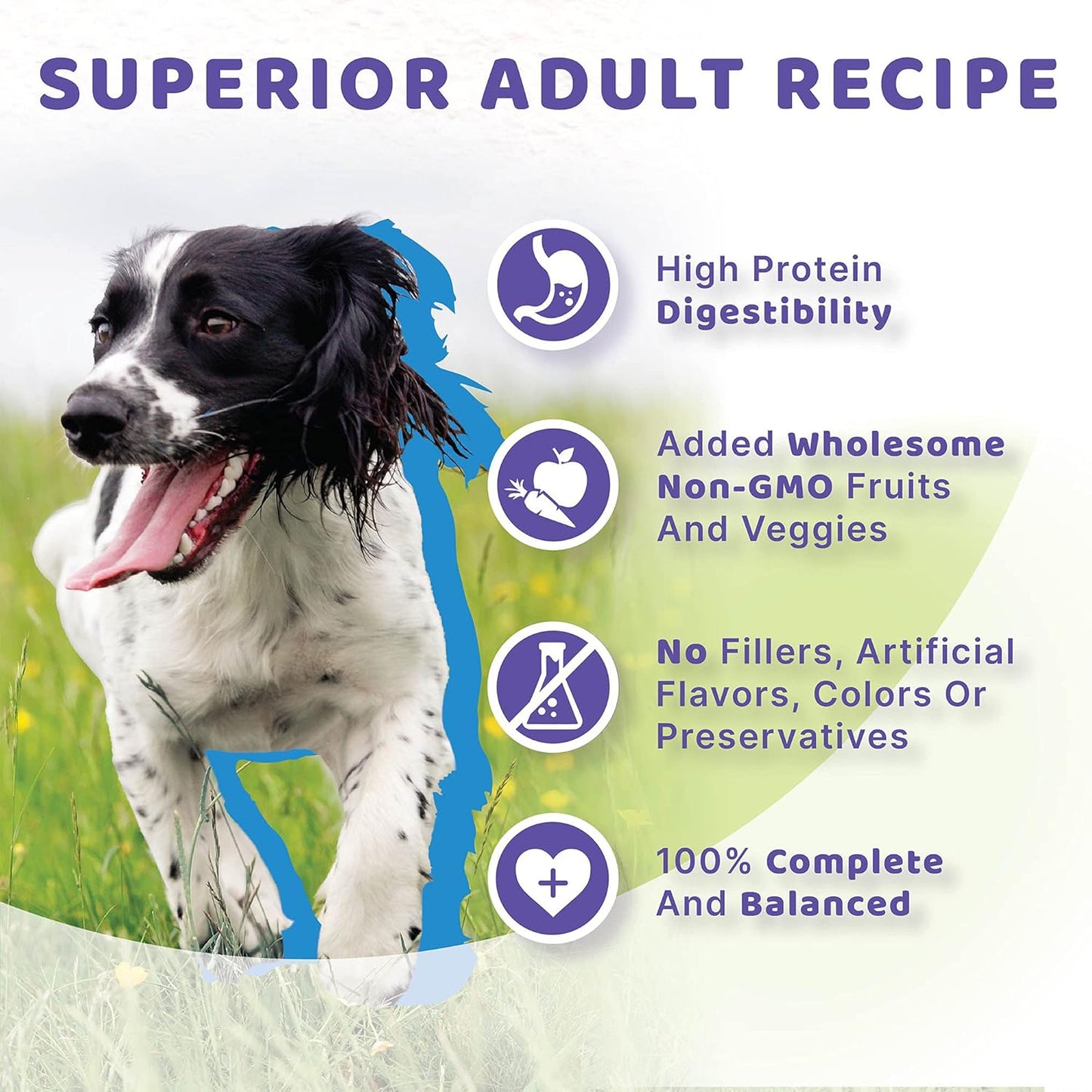 Halo Adult Dry Dog Food, Grain Free, Surf & Turf 4-Pound Bag