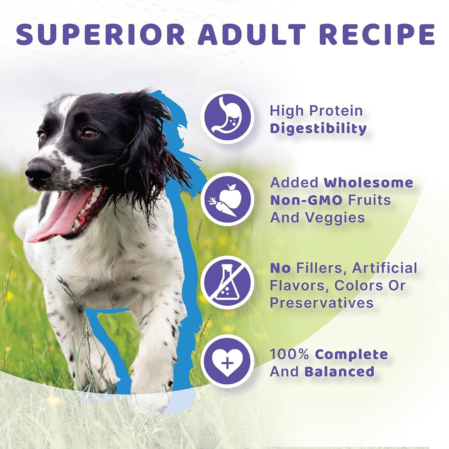 Halo Adult Dry Dog Food, Grain Free, Surf & Turf 4-Pound Bag