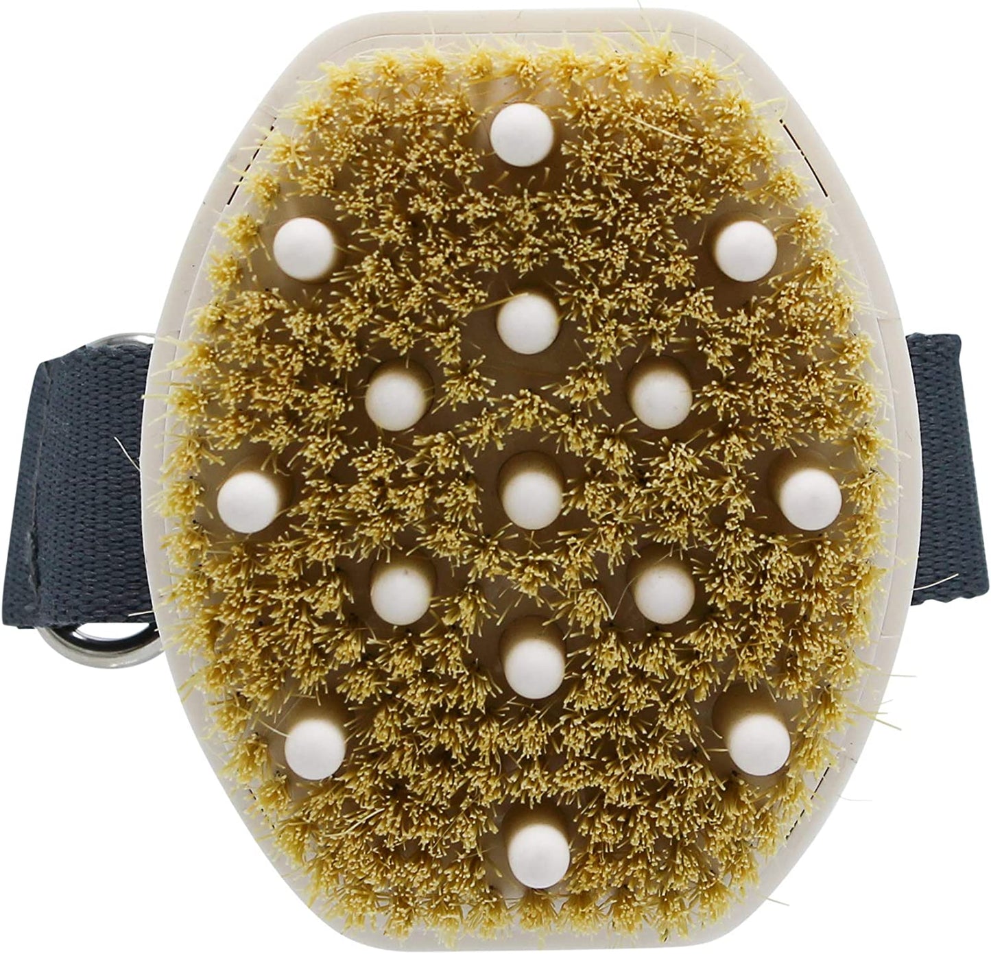 Martha Stewart for Pets Detangling Dog Brush for All Dogs | Brush for Dogs with Short or Long Hair | Great Dog Brushes for Grooming, Grooming Tools for Dogs
