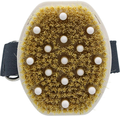 Martha Stewart for Pets Detangling Dog Brush for All Dogs | Brush for Dogs with Short or Long Hair | Great Dog Brushes for Grooming, Grooming Tools for Dogs