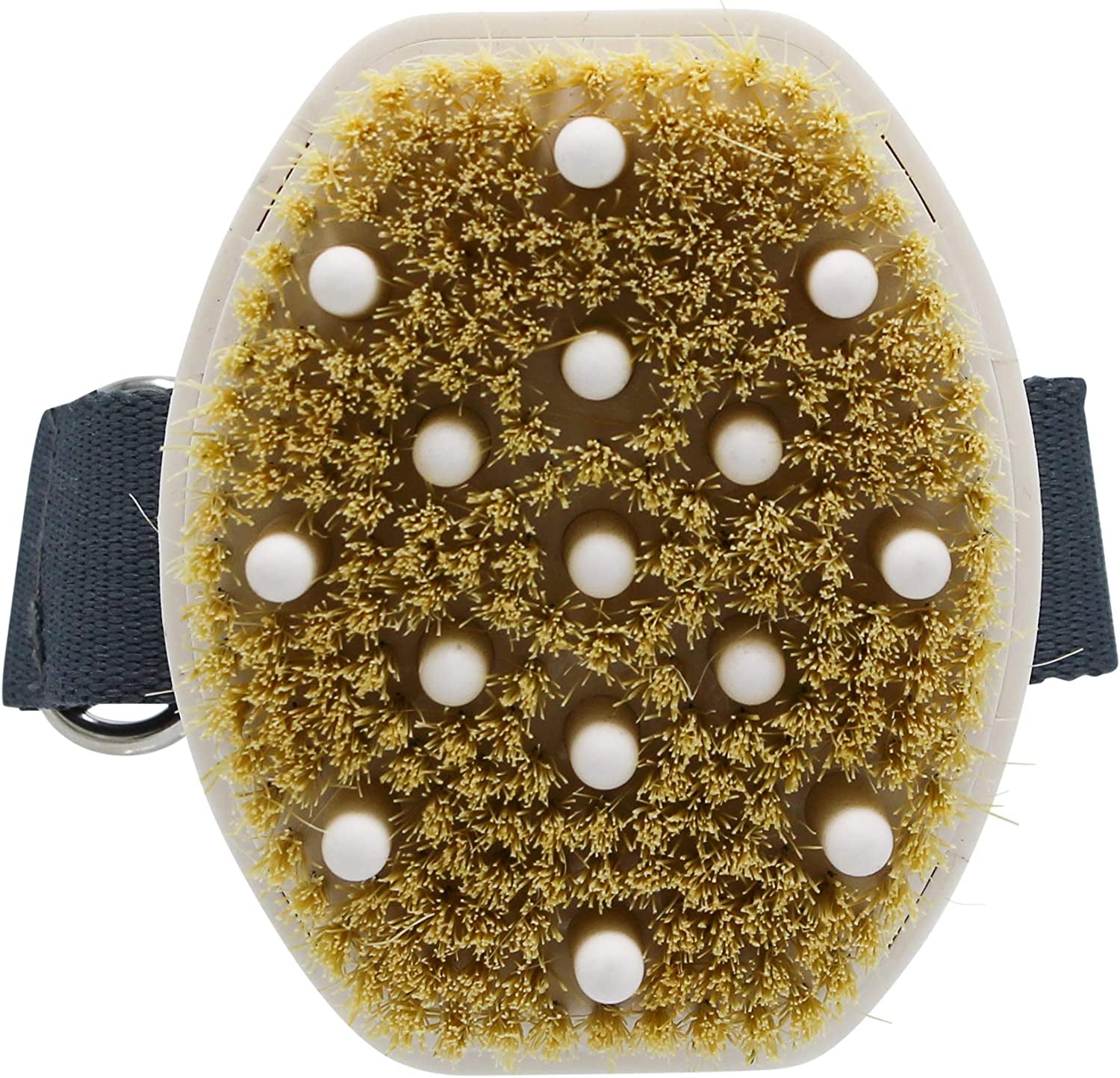 Martha Stewart for Pets Detangling Dog Brush for All Dogs | Brush for Dogs with Short or Long Hair | Great Dog Brushes for Grooming, Grooming Tools for Dogs
