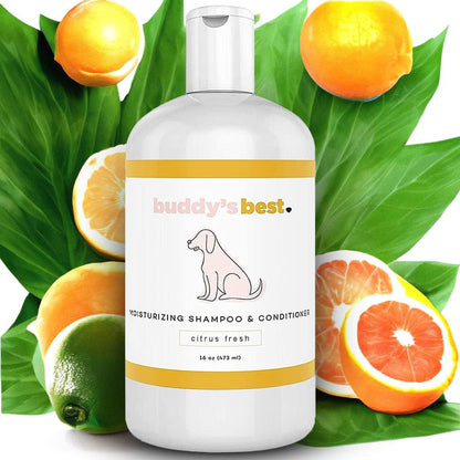 Buddy'S Best Dog Shampoo and Conditioner - Gentle Dog Shampoo & Conditioner with Oatmeal Ingredient for Dry and Sensitive Skin - Moisturizing Puppy Wash Shampoo, Fragrance-Free, 16Oz