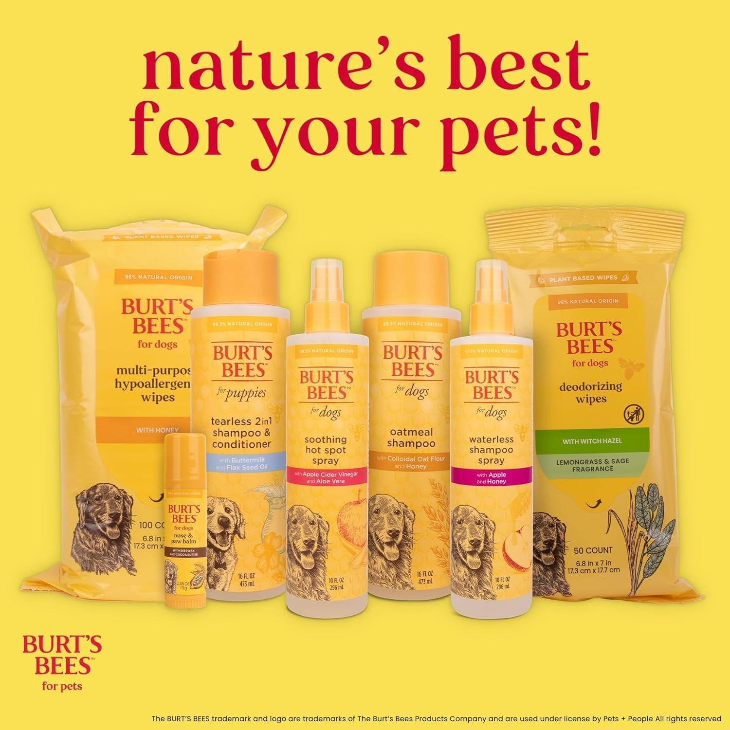 Burt'S Bees for Pets Deodorizing Dog Shampoo with Apple and Rosemary, 95% Natural Origin Formulas, Gentle Canine Cleanser for Smelly Pups, 2 Pk 16 Oz