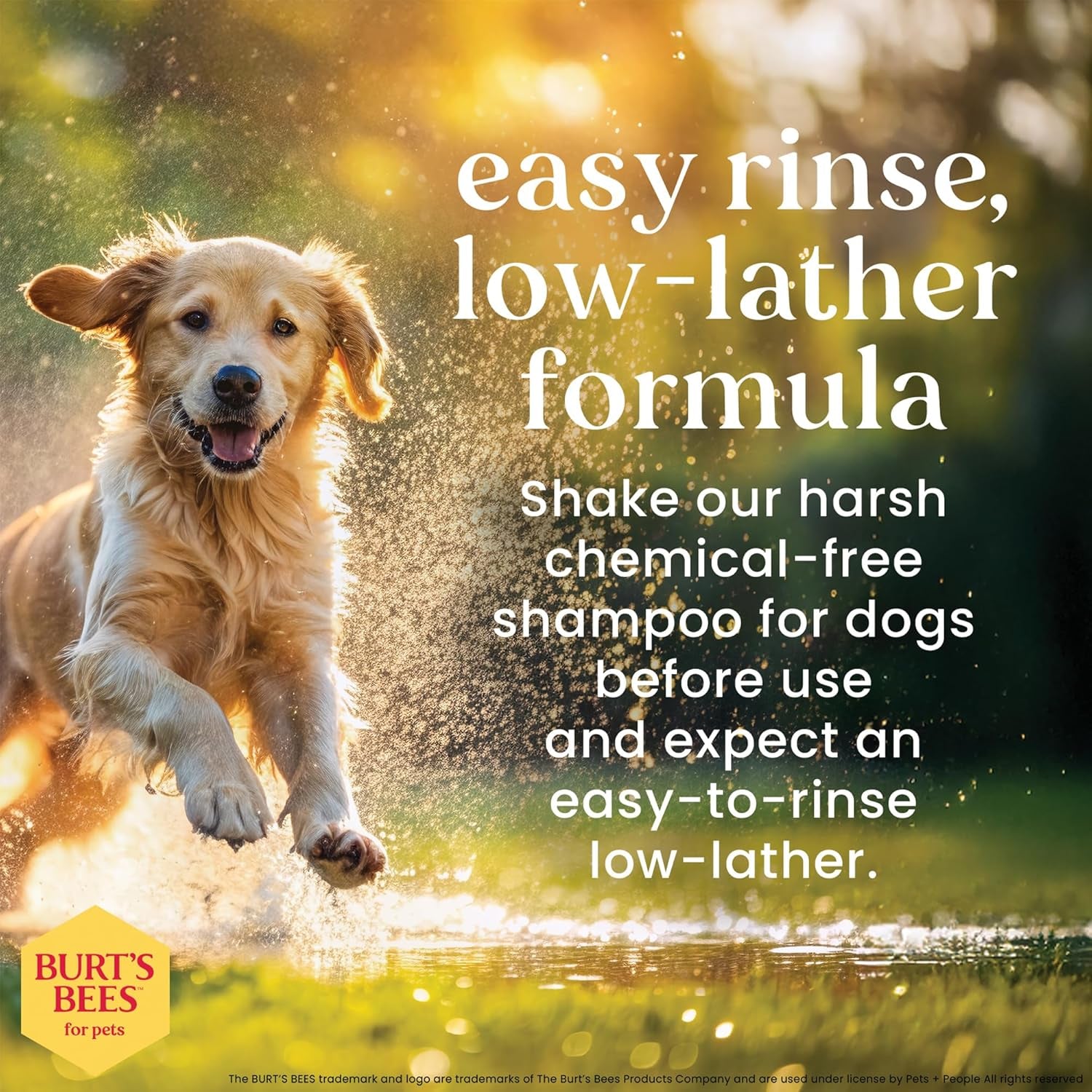Burt'S Bees for Pets Deodorizing Dog Shampoo with Apple and Rosemary, 95% Natural Origin Formulas, Gentle Canine Cleanser for Smelly Pups, 2 Pk 16 Oz