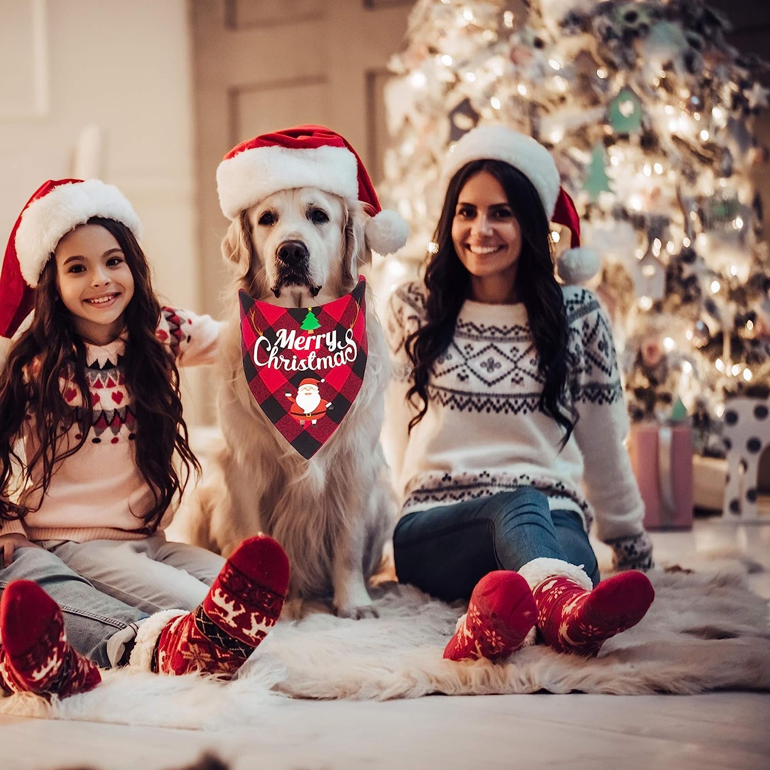 ADOGGYGO 2 Pack Dog Bandana Christmas Classic Plaid Pet Scarf Triangle Bibs Kerchief Merry Christmas Red Santa Snowman Bandana for Medium Large Dogs Pets (Large)