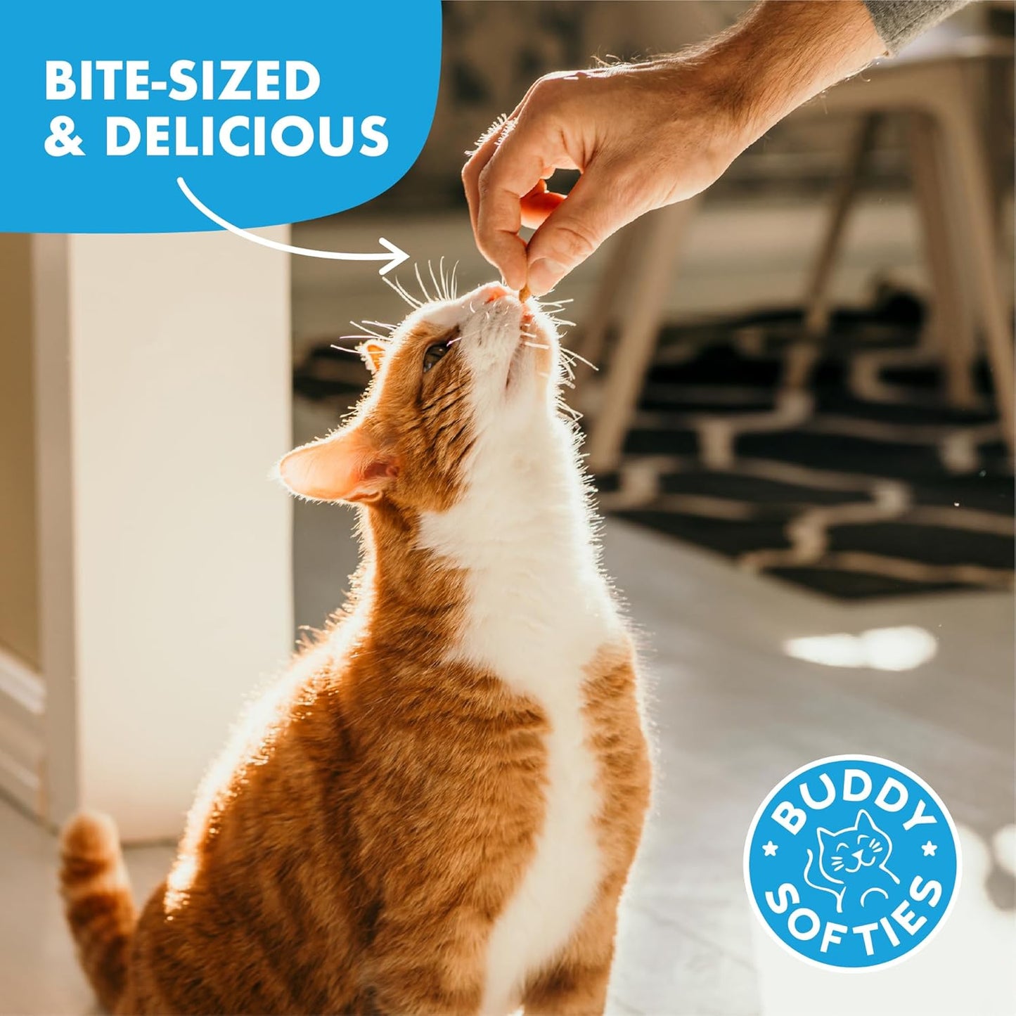 Buddy Biscuits 3 Oz Pouch of Grain Free Soft & Chewy Cat Treats Made with Natural Tender Chicken