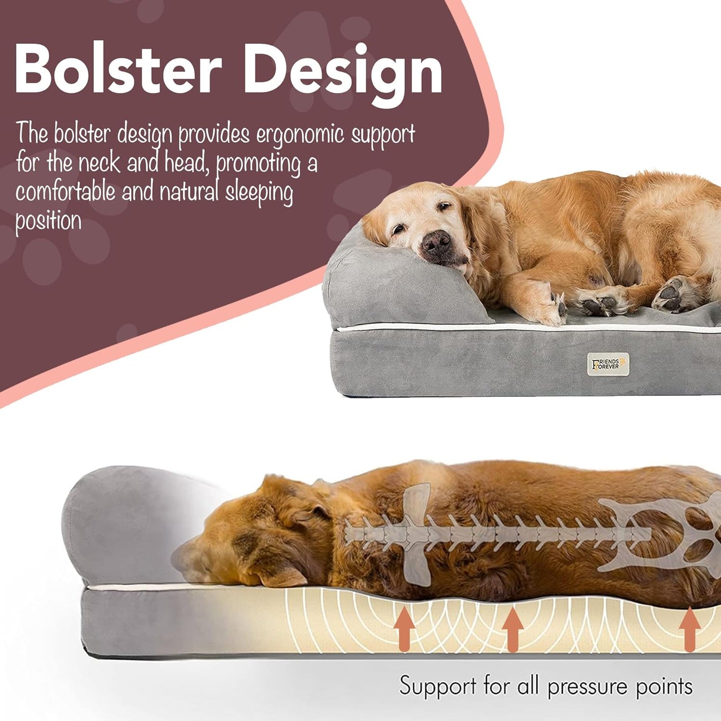 Friends Forever Small Dog Bed, Orthopedic Sofa Memory Foam Mattress, Calming Couch, Wall Rim Pillow, Water Resistant Liner, Washable Cover, Non-Slip Bottom, Chester, Small Khaki Beige