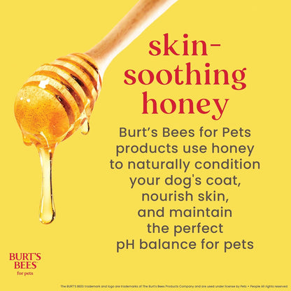 Burt'S Bees for Pets Waterless Shampoo Spray for Dogs, Apple & Honey, No-Rinse Dry Dog Shampoo for All Dogs and Puppies, Ph Balanced, No Sulfates, Parabens, Phthalates, 10 Fl Oz